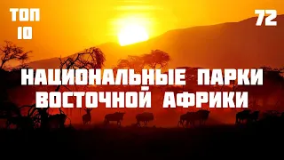 🏞️ Лучшие национальные парки Восточной и Южной Африки [ТОП-10]