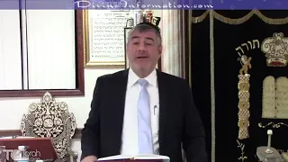 Rabbi Mizrachi - The right response to wasting seed