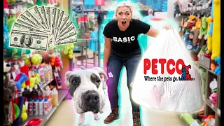 Buying My Rescued Dog EVERYTHING She Touches!