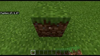 PLACING A GRASS BLOCK IN MINECRAFT!!!!