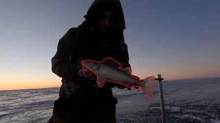 Catching Walleyes with Garmin Livescope on Red Lake First Ice