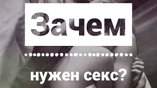 Что такое секс и зачем он нужен? Насколько важен секс в жизни? Роль секса в жизни человека. Сатья