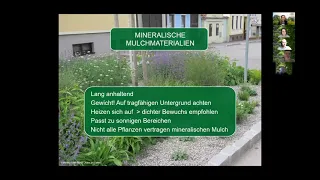 Mulchen von Staudenbeeten - Erfahrungsberichte aus Gemeinden zu verschiedenen Mulchmaterialien