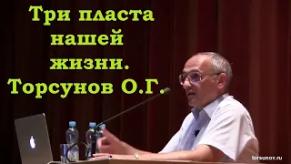 Три пласта нашей жизни. Торсунов О.Г.