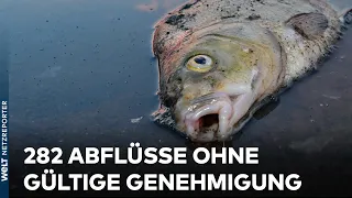 ODER: Massenhaftes Fischsterben! Polen entdeckt 282 Abwasserabflüsse ohne Genehmigung