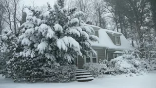 Winter Cabin in a Snowstorm | Falling Snow & Heavy Winds Blowing | Natural White Noise for Sleep