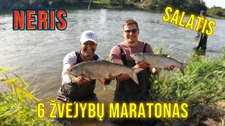 Neris | Salatis | 6 žvejybų maratonas