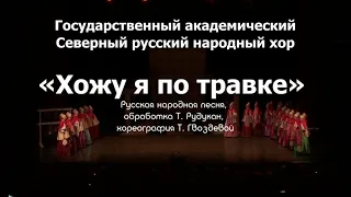 Песня Пинежского района Архангельской области "Хожу я по травке"