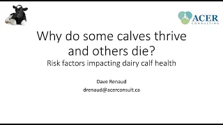 Why do some calves thrive and others die? A calf health webinar