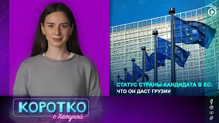 Статус страны-кандидата в ЕС: что он даст Грузии