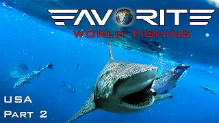 АКУЛЫ НЕ ДАЮТ РЫБАЧИТЬ! Ловля тунца с лодки в США. День 2. Favorite World Fishing.