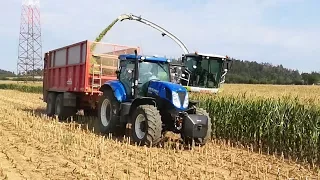 Siláže/Silage 2017 | Claas Jaguar 860 | ZD Výčapy