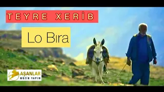 TEYRE XERİB - LO BIRA