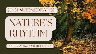 30-Minute Mini-Relaxation |  Soothing Lo-Fi Beats & Nature Sounds for Stress Relief | Forest Zen