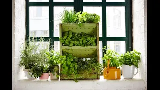 100 интересных идей оформления Огорода на балконе