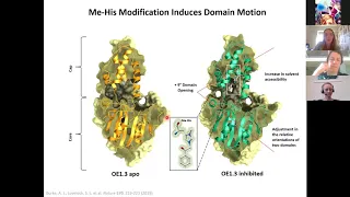 Ashleigh Burke – Design and Evolution of an Enzyme with a Non-Canonical Organocatalytic Mechanism