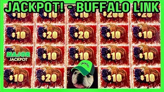 WE HIT THE MAJOR JACKPOT As Buffalo Link Finally Paid Up!