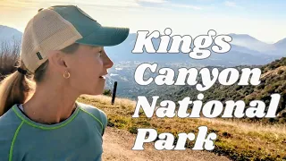 Kings Canyon National Park / Sequoia Continued?
