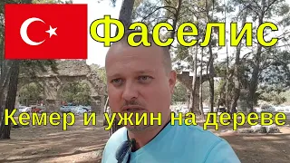 фазелис, кемер и ужин на дереве. турция отдых 2020. Фаселис