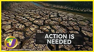 Environmentalist wants Action after COP26 | TVJ News - Nov 4 2021