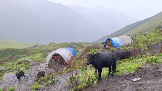 Simple the Best Himalayan Village Life | Nepal | Rainy Day | organic Shepherd food| Real Nepali Life