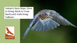 Nature's Best Hope: How to Bring Birds to Your Backyard ft Doug Tallamy
