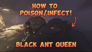 How to Poison/Infect the Black Ant Queen in Grounded!