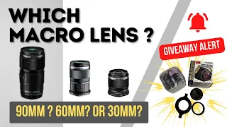 Which macro lens? + Giveaway!