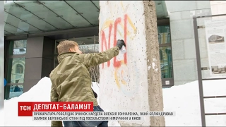 За паплюження Берлінської стіни Гончаренка можуть виключити зі складу делегації ПАРЄ
