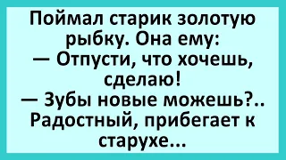 Поймал старик золотую рыбку.... Анекдоты смешные до слез! Юмор! Приколы!