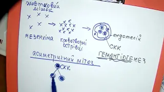 Гемопоез