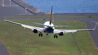 Masterful Landings at Madeira    |  Stunning RWY 05 Views