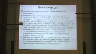 Теория эволюции. Марков А.В. Лекция 16. Часть 1