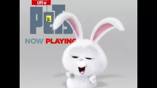 The Secret Life Of Pets | Out Now