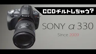 SONY α330の次だと思います、岡田撮りが生まれたのは。