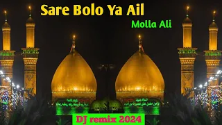 Sare Bolo Ya Ali molla ali Qawwali 2024 🙌⚔️🙌 || #hazratali #molaali #islamic #foryou #dubai