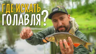 ГДЕ ИСКАТЬ ГОЛАВЛЯ на малых реках? Рыбалка в незнакомом месте.