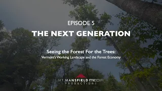 Seeing the Forest for the Trees - Episode 5  - The Development Problem and Next Generation