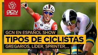 Tipos de Ciclistas. Diferencias entre Gregarios, Sprinter, Líder,...  | GCN en Español Show 101