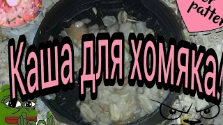 🐭Как сделать полезную кашу для хомяка! Мой Сёма.