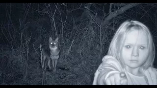 Top 15 Creepiest pics accidentally captured on trail cameras - Unsolved Secret