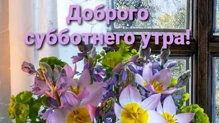 Пусть сегодня пахнет счастьем и весной... С Добрым утром 💖🌺