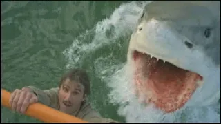 American Shark vs. Italian Shark - Jaws (1975) vs. The Last Shark (1981)