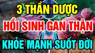 10 Thực Phẩm Là Vua BỔ GAN, KHỎE THẬN, Cứ Ăn Vào Là GAN THẬN Yếu Đến Mấy Cũng Hồi Sinh Trở Lại