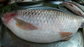 Incredible Grass Carp Fish Cutting Skills in Bangladesh Fish Market | Fish Cutting Live