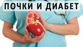 Диабет и почки. Поражение почек при сахарном диабете и его лечение