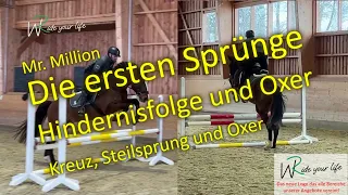 S15 Mr. Million- Springtraining Hindernisfolge und Oxer Training mit einem jungen Springpferd.