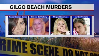 Gilgo Beach Serial Killer in Arrested. All the backround from 1996 to today. From a Long Island girl