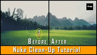 BEST METHOD TO DO CLEAN UP IN NUKE |  MULTI CAM PROJECTION | VFX VIBE