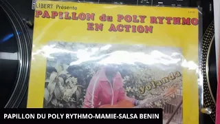 PAPILLON DU POLY RYTHMO-MAMIE-SALSA BENIN